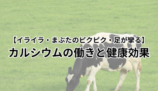 【イライラ・まぶたのピクピク・足が攣る】カルシウムの働きと健康効果