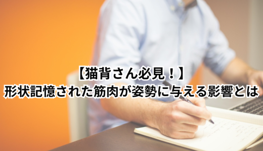 猫背さん必見！｜形状記憶された筋肉が姿勢に与える影響とは