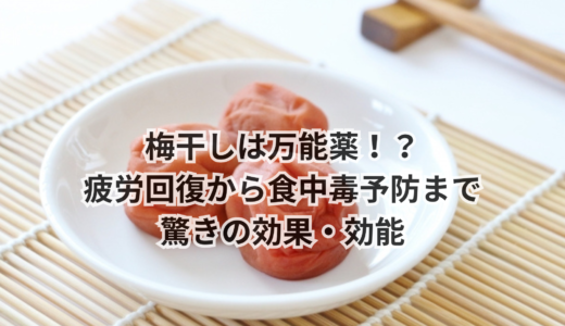 梅干しは万能薬！？疲労回復から食中毒予防まで、驚きの効果・効能